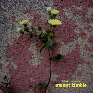 Strobe Light - Mixed by Robert Hood
