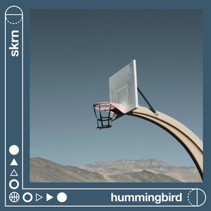 hummingbird by skrn