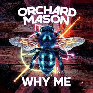 Throw A Brick (A Pride Anthem) by Orchard Mason