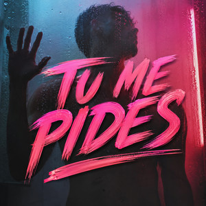 Tu Me Pides by Brya Moon