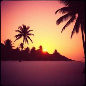 Sabor a playa by Wilson MC