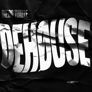 DEHØUSE by Diego Walle