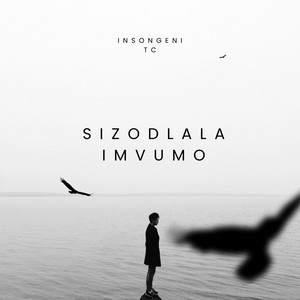 Insongeni by Insongeni Tc