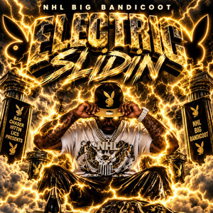 Electric Slidin by NHL Big Bandicoot