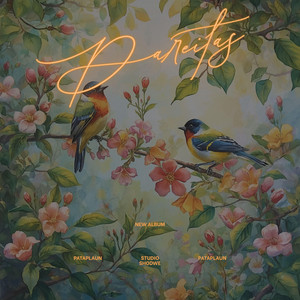 Pareitas by PataPlaun