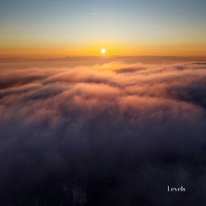 Levels by Shams