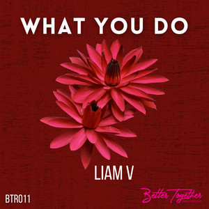 What You Do - Radio Edit