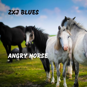 ZXJ Blues - Crazy Song With Sword