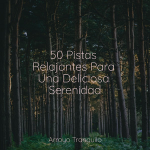 50 Pistas Relajantes Para Una Deliciosa Serenidad