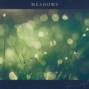 Meadows
