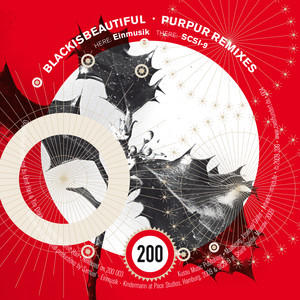 Purpur - Einmusik Remix cover art