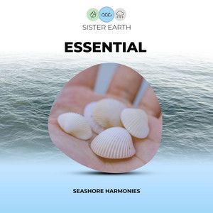 Essential Seashore Harmonies album