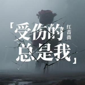 受伤的总是我 by 红蔷薇