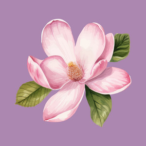 Magnolia by Jordan Mitchell-Haines