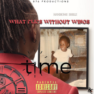 Handsome Shellz - True Story