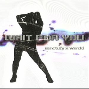 wait for you (feat. wzrdd) by sanctufy, wzrdd