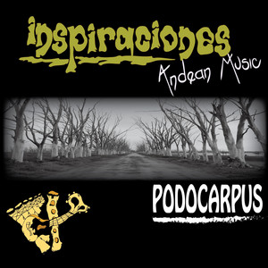 Inspiraciones andeanMusic poster