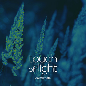 Light Within Light by Calm Whale