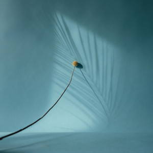 Featherlight by DEAKON