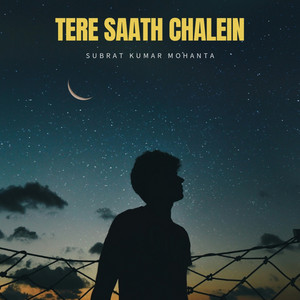 Tere Saath Chalein