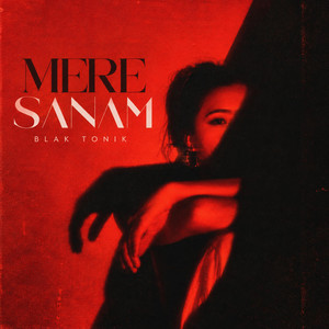 Mere Sanam (Hypnotic Progressive Mix)