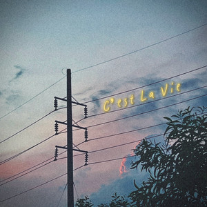 C'est La Vie by rai