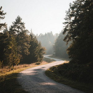 camino largo by chovy blow