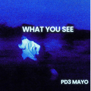 What you see