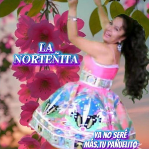 La Norteñita - Soy Solterita