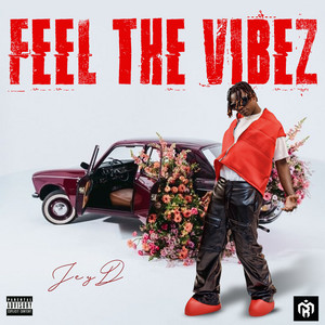 Feel The Vibez by JeyD