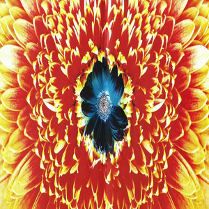 Schijami - Rammstein