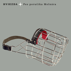 Hviezda