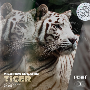 Tiger by Yıldırım Erşahin