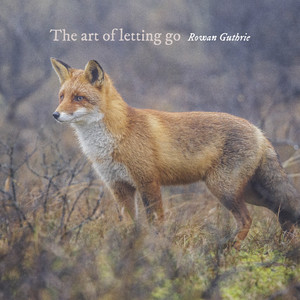 Falling up by Rowan Guthrie
