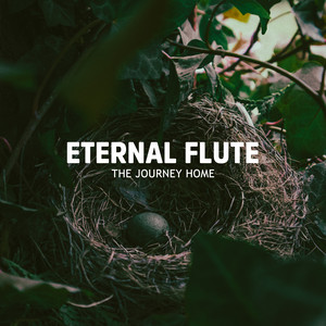 The Journey Home by Eternal Flute