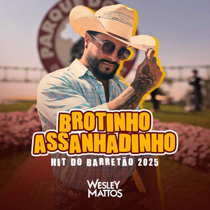 Wesley Mattos - Brotinho Assanhadinho (Hit do Barretão 2025)