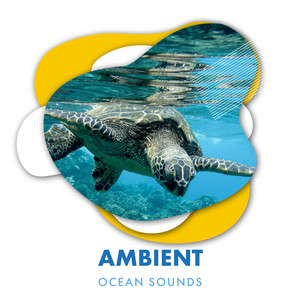 Ambient Ocean Sounds Compilation album