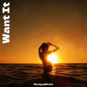 Want It by RemyyyBeatz
