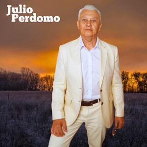 Indecisión by Julio Perdomo