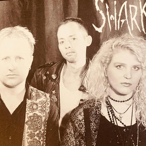 Shark Taboo — cover art