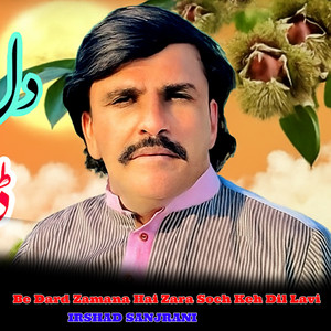 Irshad Sanjrani - Be Dard Zamana Hai Zara Soch Keh Dil Lavi