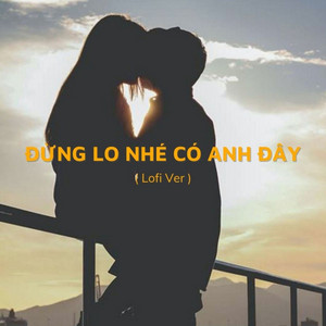 Trái Tim Anh Nay Chỉ Có Chân Tình - Đừng Lo Nhé Có Anh Đây (Lofi Ver)