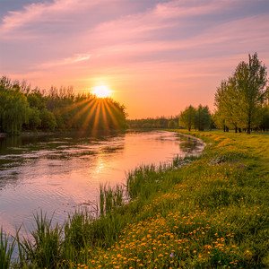 Весна чарує