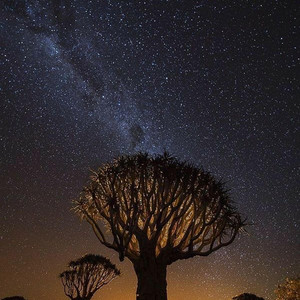 Leinad - Afrika Lights