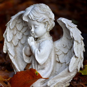 Pray For Peace - Piano Solo Version by Lucy Shores Madeleines