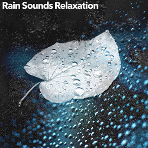 Rain Sounds Relaxation