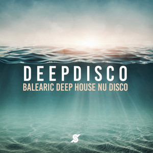 Balearic Nu House12インチレコード20枚 Disco Deep