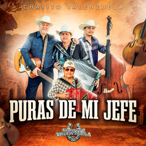 Chayito Valenzuela poster