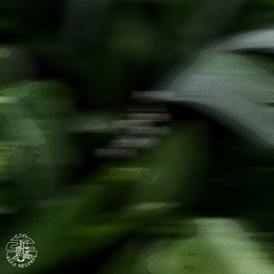 Lily of The Valley by Coloured Rocks, Lenny B