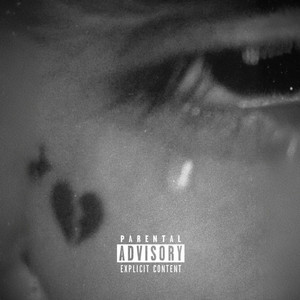 VIDA PASAJERA by DE$TROY